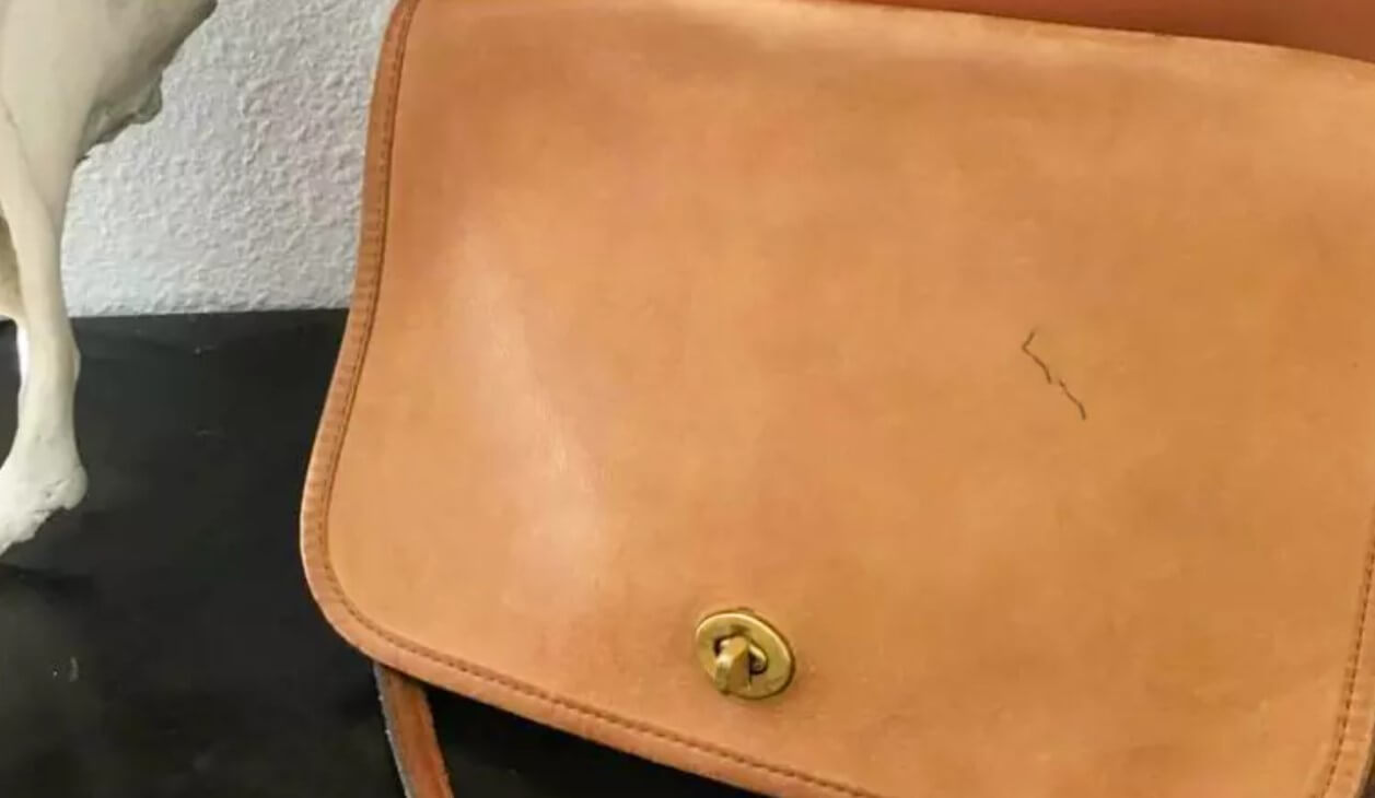 What Causes Leather Purse Stains